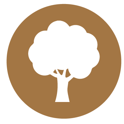 Enchanted Forest / Library